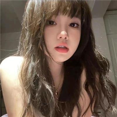 森林之境