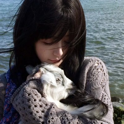狼与香辛料第二季